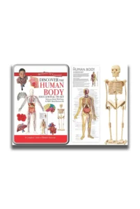 Discover the Human Body