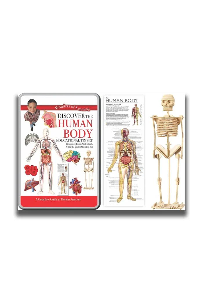 Discover the Human Body