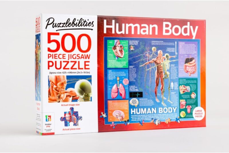 Human Body 500 Piece Jigsaw Puzzle - Image 4