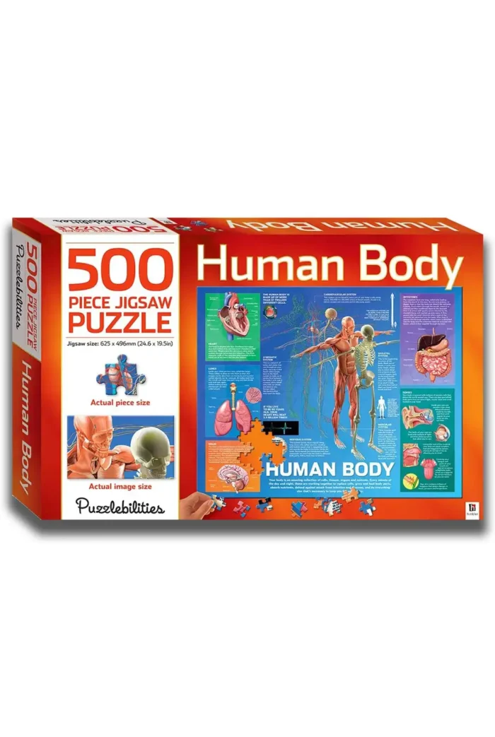 Human Body 500 Piece Jigsaw Puzzle